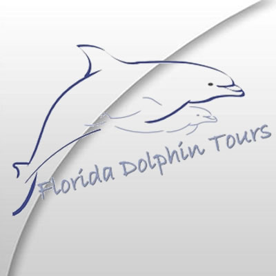 Florida Dolphin Tours